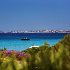 Gallipoli