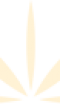 Logo-Asteri-Preloader