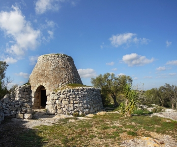 CAMPAGNA DI CANNOLE