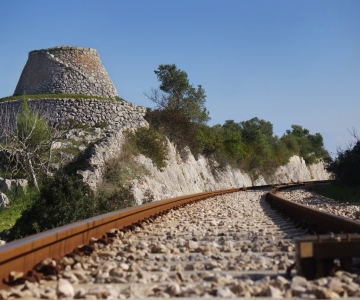 CAMPAGNA DI CANNOLE
