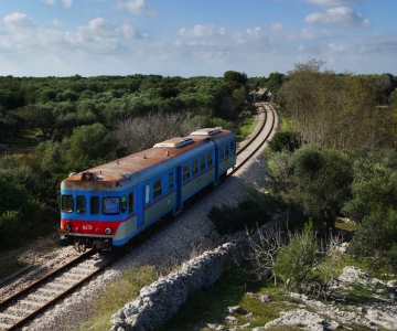 CAMPAGNA DI CANNOLE