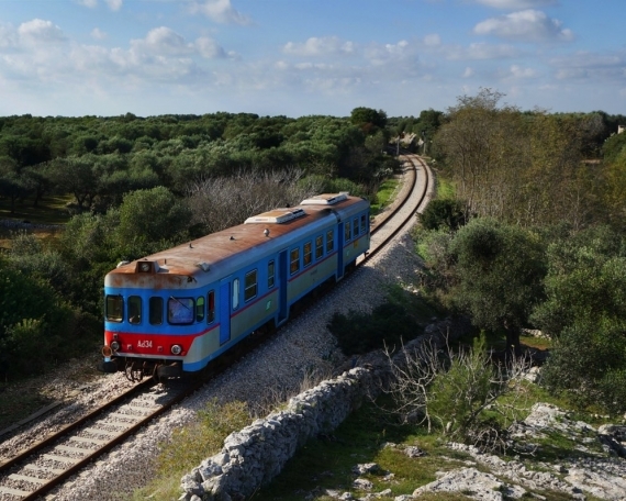 CAMPAGNA DI CANNOLE