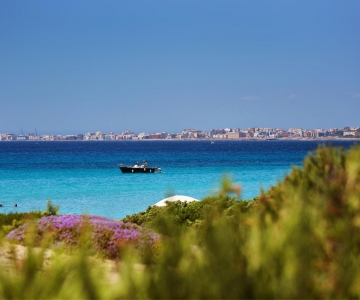 GALLIPOLI