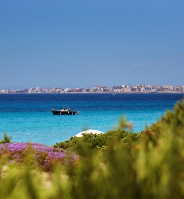 GALLIPOLI