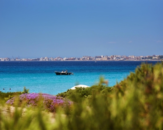 GALLIPOLI