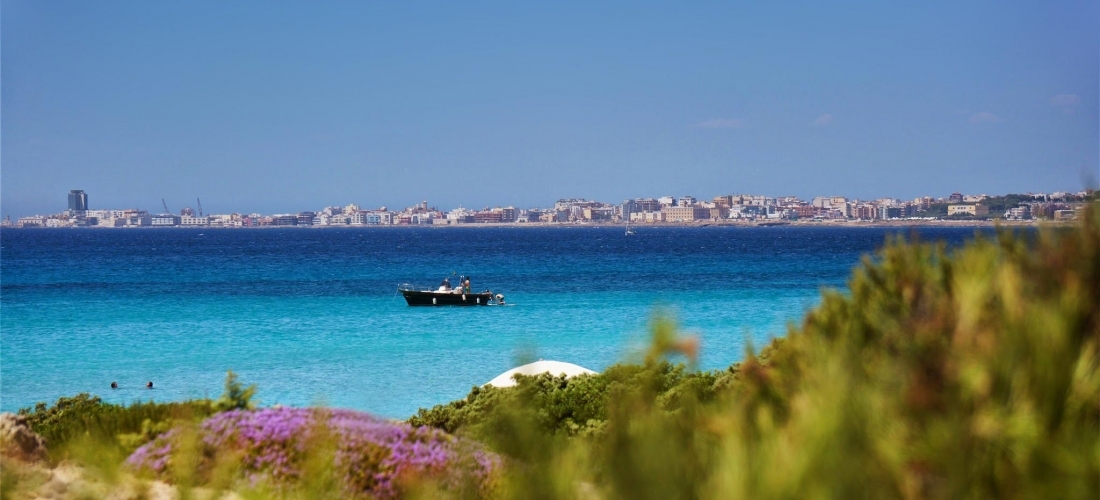 GALLIPOLI